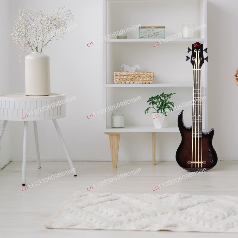 Black Bass Electric Guitar Map - огляд і ціна Bass Guitar Strings
